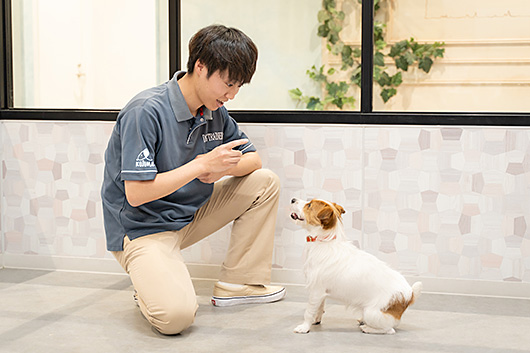 日本動物専門学校