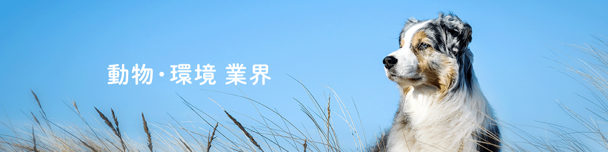 動物・環境
